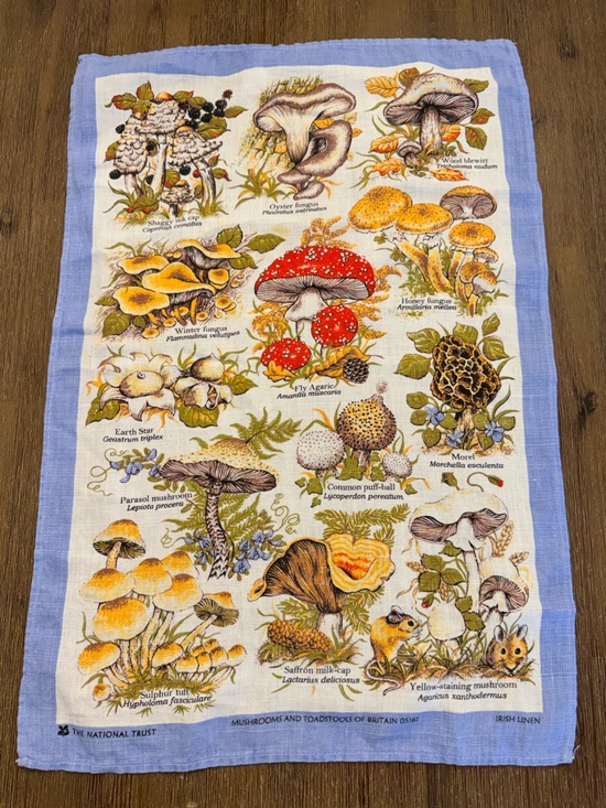 Vintage Other - Mushrooms and toad stools of Britain 100% Irish Linen Tea Towel Kitchen Linen